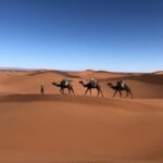 morocco desert sahara