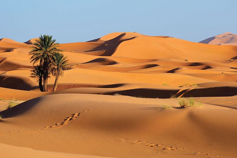 désert du Sahara