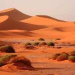 désert du Sahara