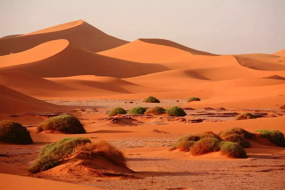 désert du Sahara